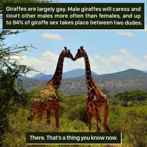 weird facts