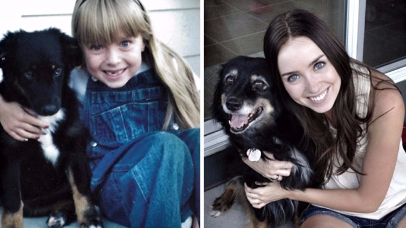 12 Heartwarming Before And After Pictures Of Dogs &…